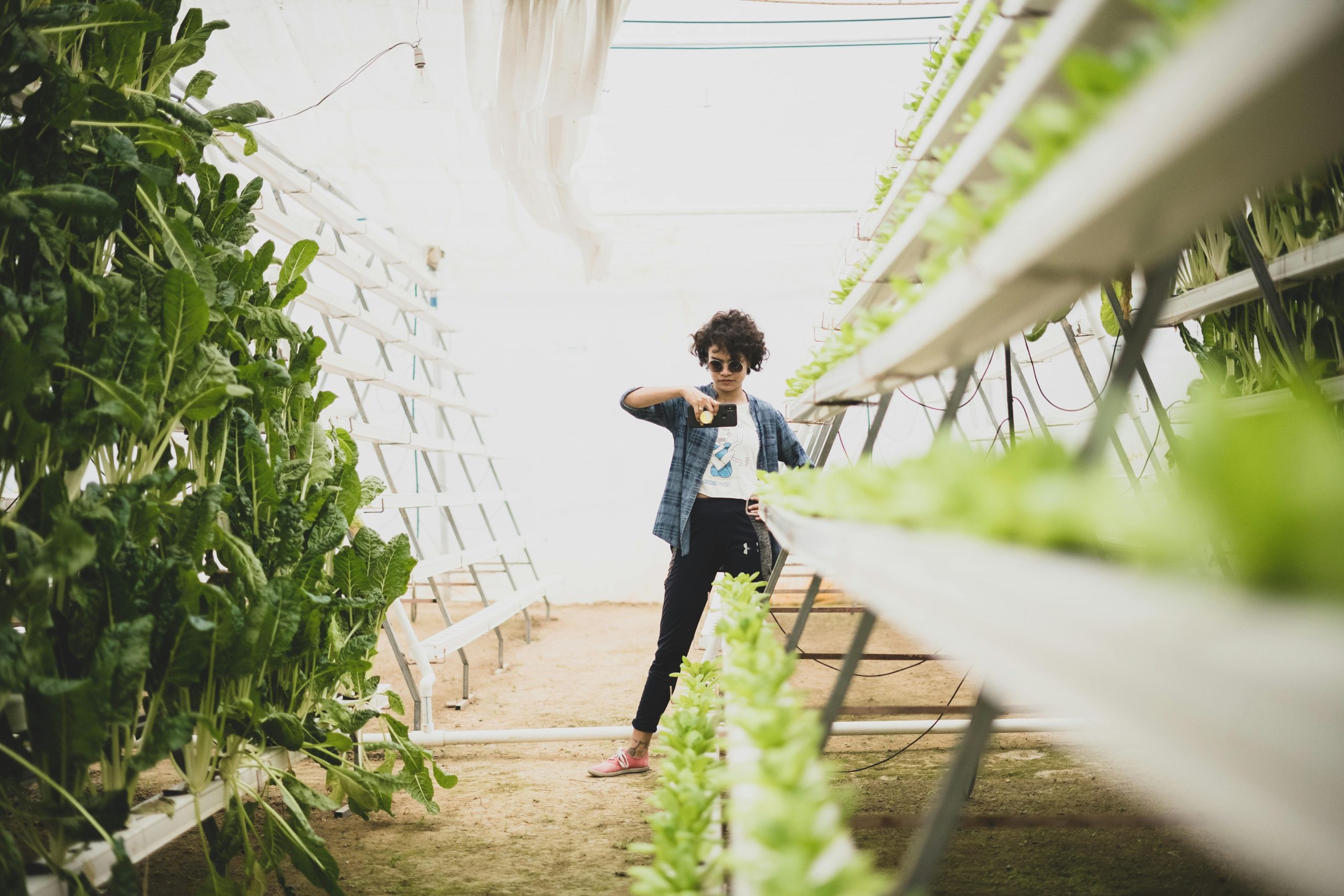 Showing Gen Z working in modern farm